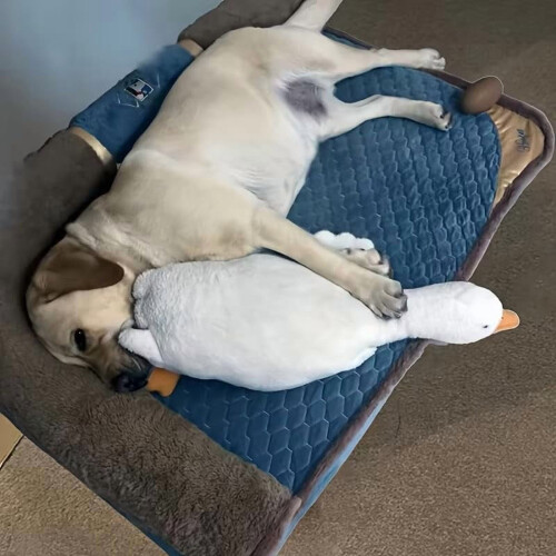White duck dog toy plush large 1 piece 1