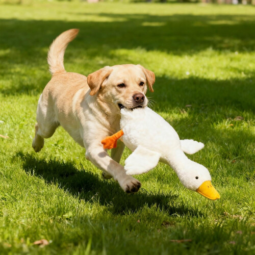 White duck dog toy plush large 1 piece 2