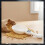 Set di cucchiai dosatori digitali e bilancia da cucina (3 pezzi) 4