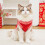 Fleece Pet Jacket with Luxury Lining for Small to Medium 7