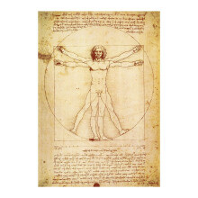 L'Homme de Vitruve de Léonard de Vinci - Affiche - Proportions du dessin de la figure humaine - Reproduction d'art