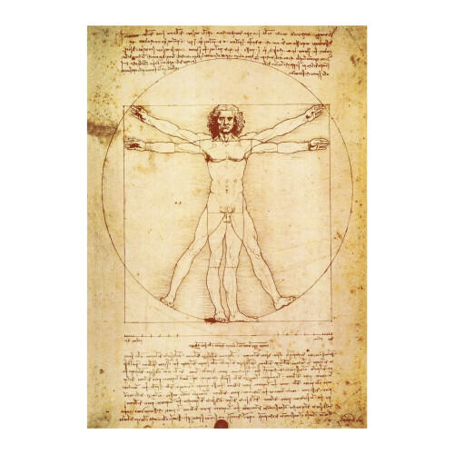 Poster van de Vitruviusman - Kunstprint op canvas