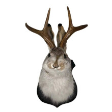Sculpture murale en résine représentant une tête de lapin avec des bois, idéale pour les fêtes de fin d'année au bureau ou à la maison. Statue