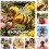 Calendrier mural Teckel 2026 (12 mois) 21 x 42 cm 1