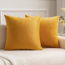 Ensemble de 2 housses de coussin en velours 20x20 pouces