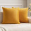 Ensemble de 2 housses de coussin en velours 20x20 pouces 1