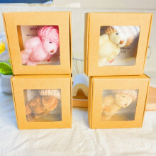 Mini ours en peluche dans sa boîte + carte d'encouragement – Cadeau adorable pour les amis, les amoureux, les enfants – Saint-Valentin,
