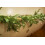 Kunstmatige Norfolk dennenkrans 1,8 meter warm wit LED 7