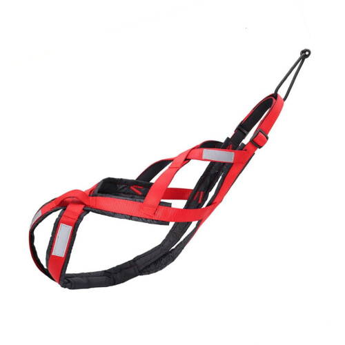 Justerbar nylon hundesele til store racer