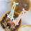 5 PCS Ceramic Ugly Frog Spoon Cute Stirring Spoon Tea Spoon Coffee Spoon 6