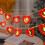 Wooden Heart LED String Lights, 20 Warm White/Red, Battery 1