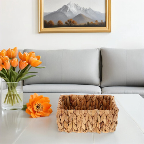 2Pcs Lightweight Handwoven Wicker Storage Baskets for Decorative Shelves 1
