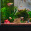 Κεραμική διακόσμηση ενυδρείου Betta Fish Cave Rest Tunnel Multi-Color1Set για ενυδρείο 4