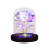 Roseta com cúpula de vidro e base de LED branca (1 peça) 1