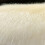 Σάλι από ψεύτικη γούνα, πανωφόρια για γυναίκες 3