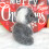 Knuffelkoala, pluche speelgoed, babyspeelgoed 5