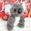 Knuffelkoala, pluche speelgoed, babyspeelgoed 6