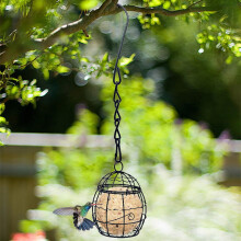 Mangeoire à oiseaux d'extérieur avec mécanisme de suspension à ressort, conception en métal pour jardin/cour/terrasse – Compatible avec les