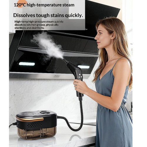 1200W Fog Cleaner for Efficient Mark Removal on Kitchen Absolute 2