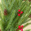 Artificial Norfolk Pine Sprig 17.7-19.7 in 4