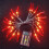 Red Chili String Lights, USB or Battery Powered, 3m/5m/6m/8m 1