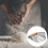 Metal Dough and Pastry Cutter Baking Tool for Effortless Baking Preparation 7