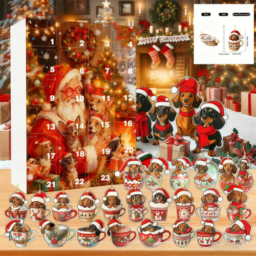 1pc2D Χριστουγεννιάτικο Ημερολόγιο Advent Συλλεκτικό Ημερολόγιο Advent Αστείο Σετ Ζώων