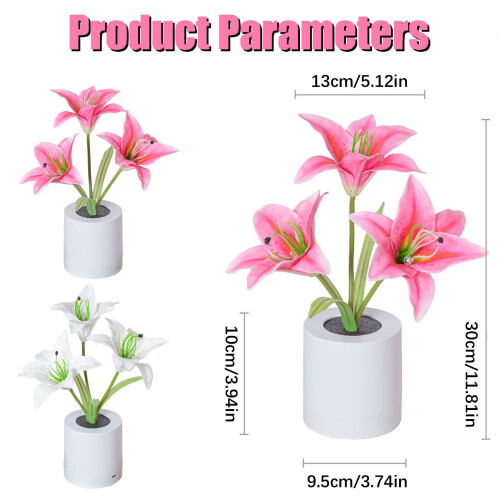 Veilleuse LED Lys du matin roses avec vase USB 2