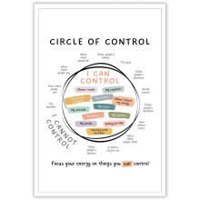 Circle Of Control Poster What I Can And Cannot Control Therapy Office Decor Kids Mental Health Poster Calm Down Corner School Counselor Supplies