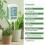 Digital Soil Tester For Agriculture And Planting Featuring 3
