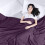 Drap plat violet pour lit simple, 1 paquet, en microfibre brossée 3