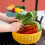 Panier à fruits rond bleu avec couvercle (1 pièce) 4
