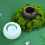 Coconut Shell Shaped Silicone Chocolate Molds for Baking Dessert 6