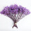 Διατηρημένο Baby's Breath3Bunches, Φυσική Γυψοφίλη για Συνθέσεις Βάζων, Διακόσμηση 2
