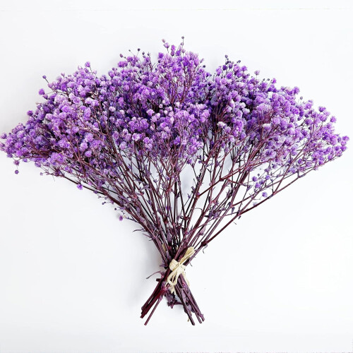Διατηρημένο Baby's Breath3Bunches, Φυσική Γυψοφίλη για Συνθέσεις Βάζων, Διακόσμηση 1