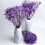 Διατηρημένο Baby's Breath3Bunches, Φυσική Γυψοφίλη για Συνθέσεις Βάζων, Διακόσμηση 3