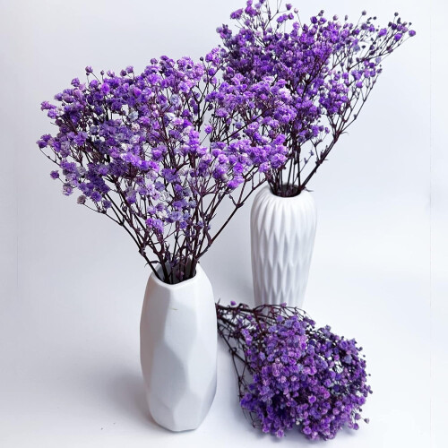 Διατηρημένο Baby's Breath3Bunches, Φυσική Γυψοφίλη για Συνθέσεις Βάζων, Διακόσμηση 2
