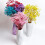 Διατηρημένο Baby's Breath3Bunches, Φυσική Γυψοφίλη για Συνθέσεις Βάζων, Διακόσμηση 5