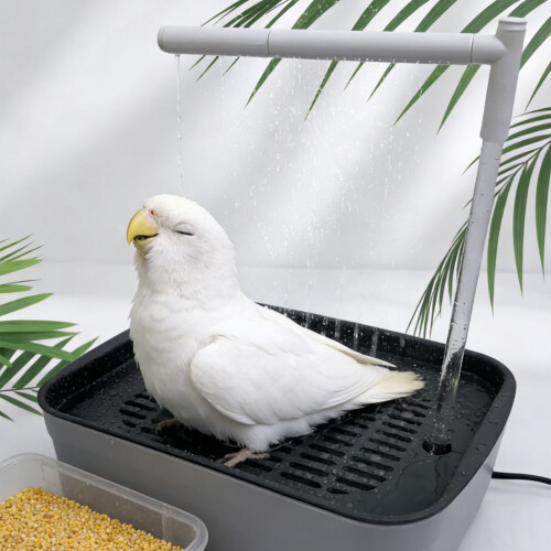 Automatic Bird Fountain Bird Shower Recirculating Fountain-2 2