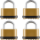 Robuust, weerbestendig combinatieslot (4 stuks) 1