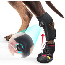 Dog Drop Foot Brace with Reel for Arthritis and Gait Support