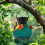 Solar Lighted Bird Feeder with LED 2