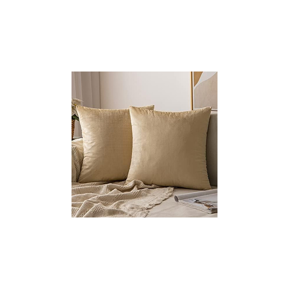 Velvet Euro Sham Pillow Covers 24x24 in Beige Set of 2