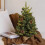 Mini flocked snow Christmas tree decoration 6 pieces 1