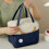 Große, isolierte Lunchtasche, tragbare Bento-Box, Picknicktasche, blau 5