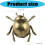 Bronze-Insektenfigur. Anspruchsvolle goldene 3