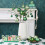 (1 set) Patrick's Day-decoratie 4