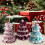 Christmas Tree Crochet Kit for Beginners – Step-by-Step Tutorial, All Tools Included, Birthday Gift – Compatible with Standard Hooks 6