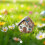 Patchwork Egg House DIY Kit – Handmade Embroidered Easter Egg Craft Kit with Materials & Instructions, Compatible with Easter Crafts 8
