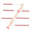Playing Wind Instruments Flute 6-Hole Design ABS Pink for Students Gift Giving 1Set 6